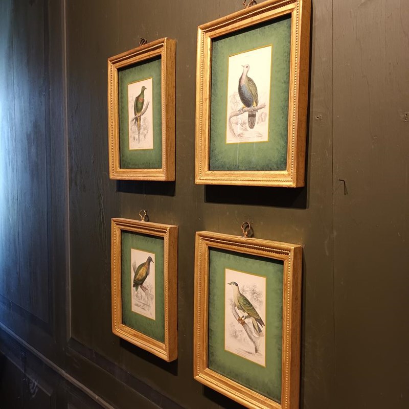 A Set Of Framed Bird Engravings By Edward Lear-tigers-decorative-20221125-114845-main-638050160867011127.jpg
