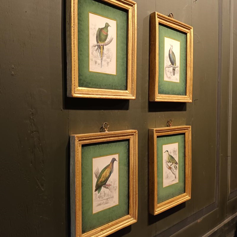 A Set Of Framed Bird Engravings By Edward Lear-tigers-decorative-20221125-114946-main-638050160885025384.jpg