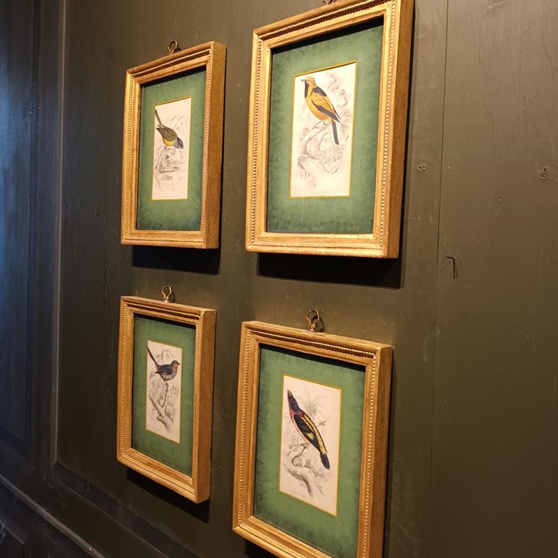 A Set Of Framed Bird Engravings By William Swainson-tigers-decorative-20221125-123148-main-638050174697018041.jpg