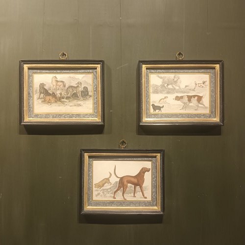 Framed Dog Engraving Pictures