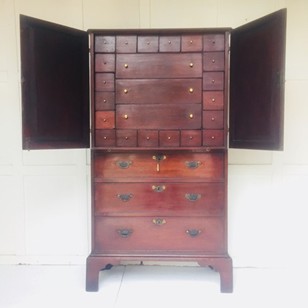 Mahogany Specimen Cabinet