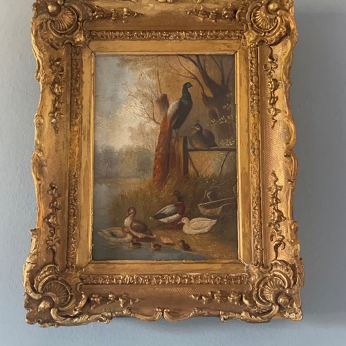 19Th Century Naive Folk Art Oil Painting Of Birds By The Water’S Edge