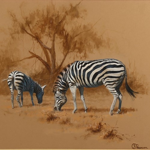 Zebra With Foal Pastel By Stephen Pearson
