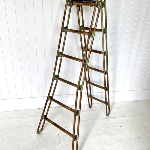 A Rare Stellex Metamorphic Ladder By S W Goosey