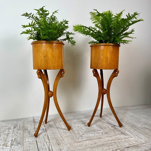 A Pair Of Empire Style Swan-Neck Circular Fruitwood Planter Jardinières