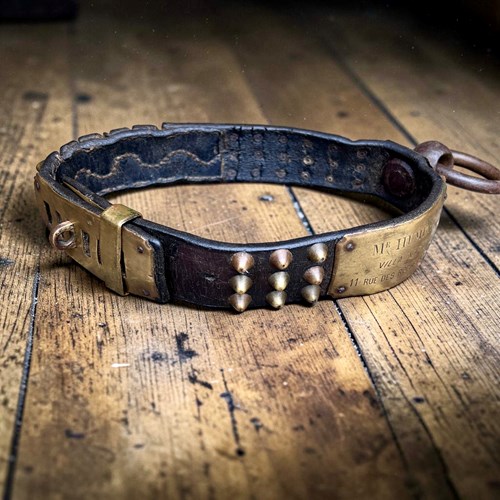 19Th Century French Studded Leather Dog Collar With Brass Nameplate