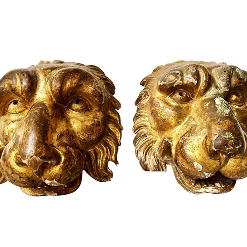 Pair Of Fierce Lions, Italian Gilded Wood Carvings, 1700'S