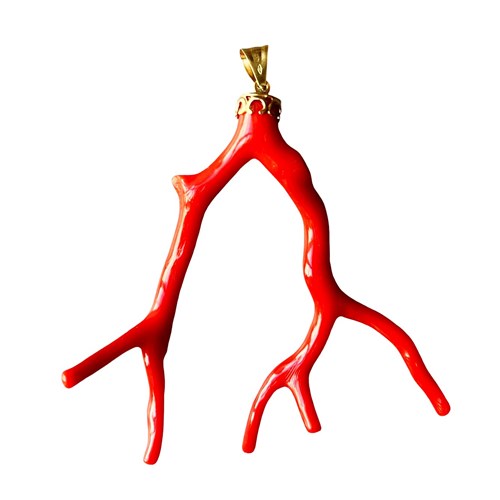 Fantastic Italian Red Coral Branch Pendant Set In Gold, 1900'S