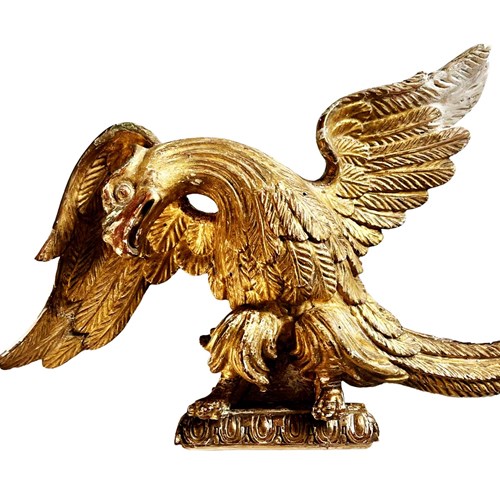 Stunning Antique French Eagle, Gilded Wood Carving With Timeworn Patina 1800'S