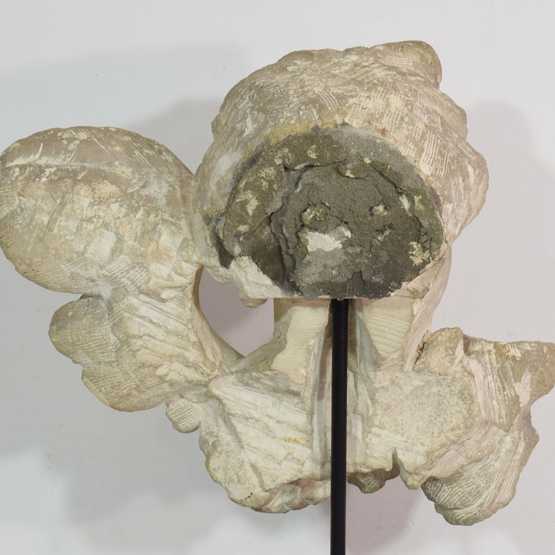 Italian 17/18th Century  Limestone Angel Head-tresors-trouves-20037210-main-637582178131453193.JPG