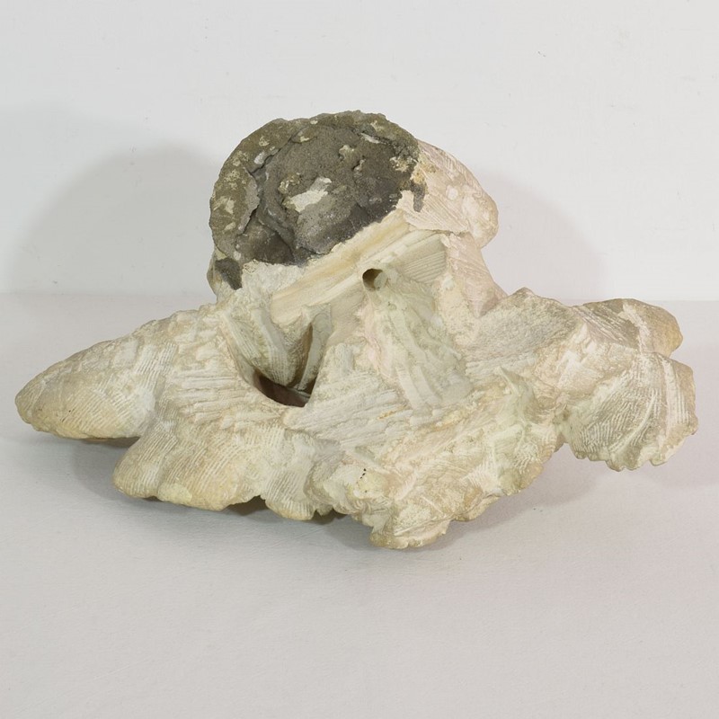 Italian 17/18th Century  Limestone Angel Head-tresors-trouves-20037220-main-637582178190828624.JPG