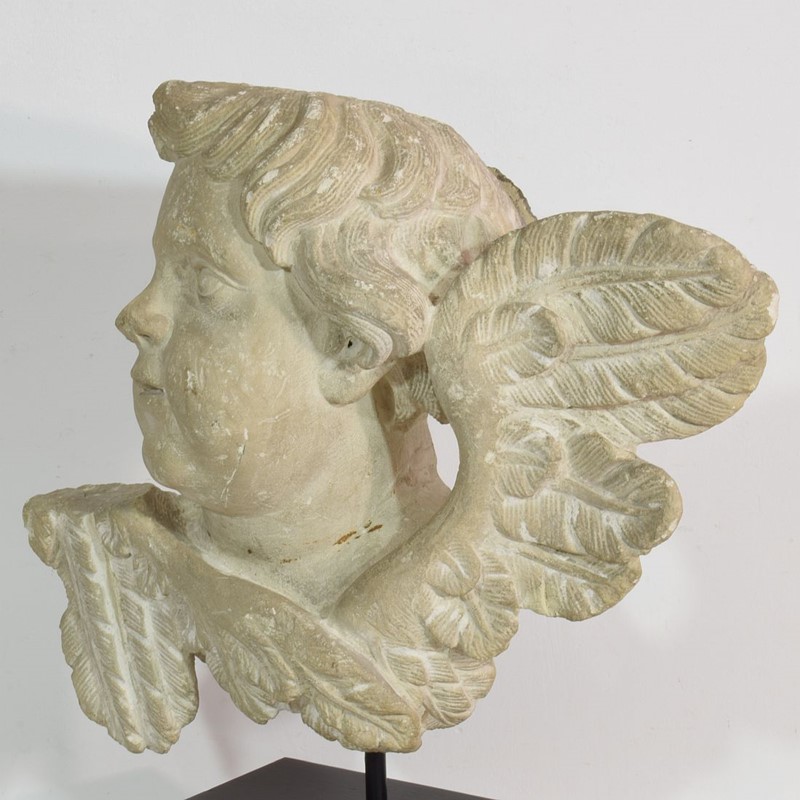 Italian 17/18th Century  Limestone Angel Head-tresors-trouves-2003728-main-637582178116921579.JPG