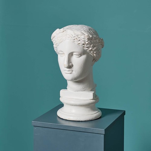 D. Brucciani (1815 – 1880) Antique Plaster Bust Of Venus