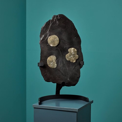 Illinois Pyrite Suns On A Matrix