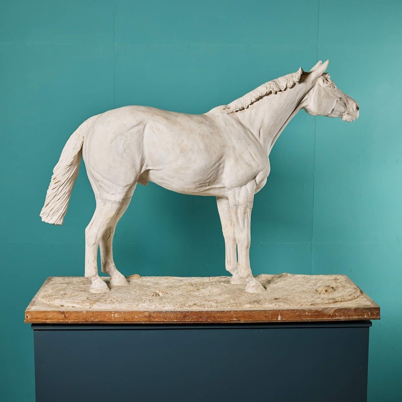 Plaster Maquette Of Red Rum By Annette Yarrow-uk-heritage-3-22776-5-main-638100879850900179.jpeg