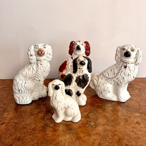 Quality Collection Of Five Antique Quality Hand Painted Staffordshire Dogs