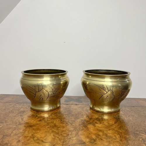 Stunning Pair Of Antique Edwardian Brass Jardinieres