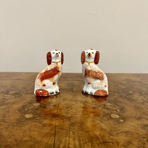 Lovely Pair Of Antique Victorian Miniature Staffordshire Dogs 