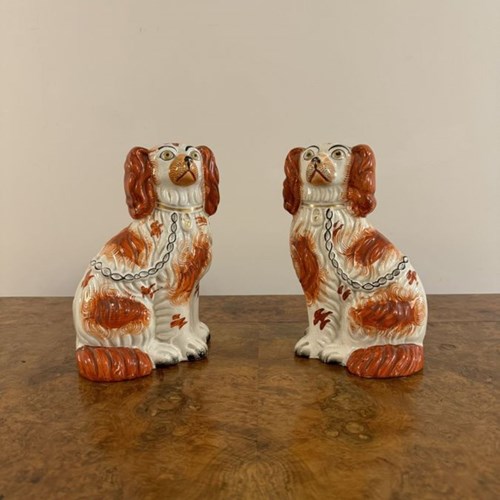 Wonderful Pair Of Antique Victorian Seated Spaniels