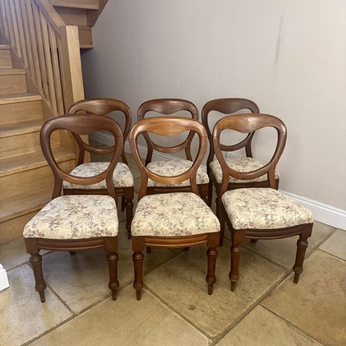 Fine Quality Set Of Six Antique Victorian Mahogany Balloon Back Dining Chairs 
