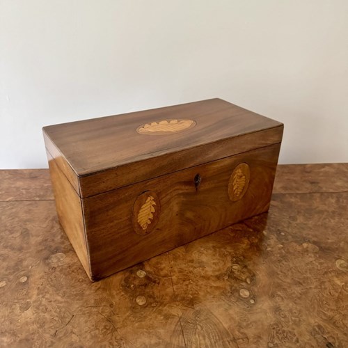 Pretty Antique Victorian Mahogany Conch Shell Inlaid Tea Caddy 