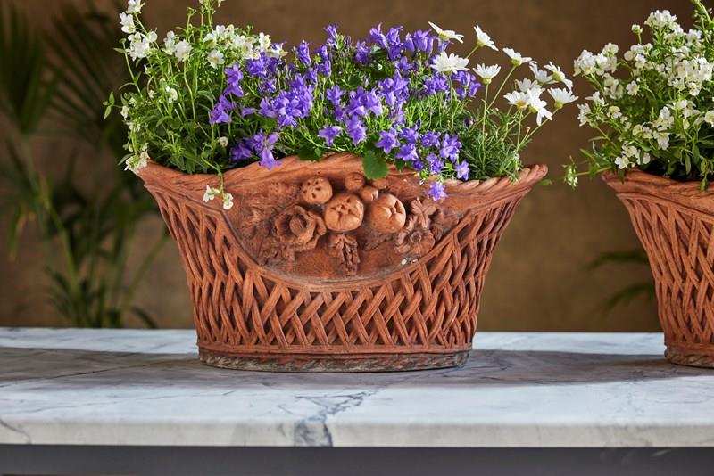 Terracotta Basket Planter-violet-grey-img-0200-main-638266443117704293.jpeg
