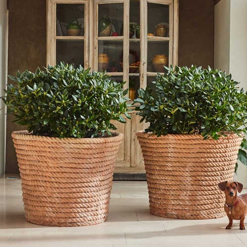 Terracotta Rope Planters