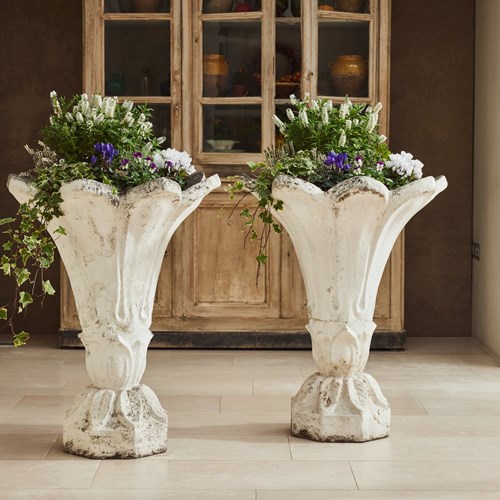 Acanthus Leaf Planters