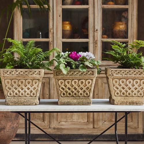 Trio Of Cotswold Studio Planters