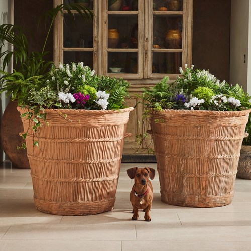 Pair Of Terracotta Tree Planters