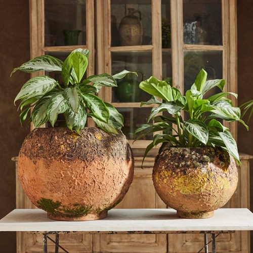 Italian Terracotta Planters