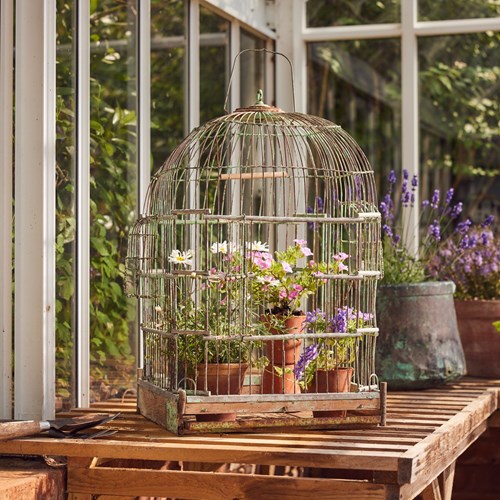 Decorative Birdcage