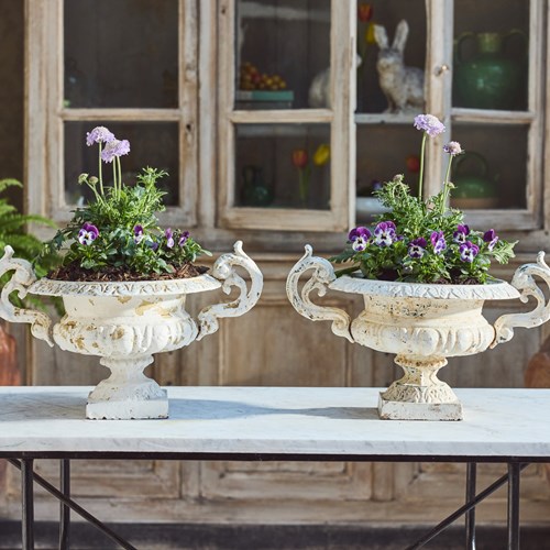 Dolphin Handled Urns