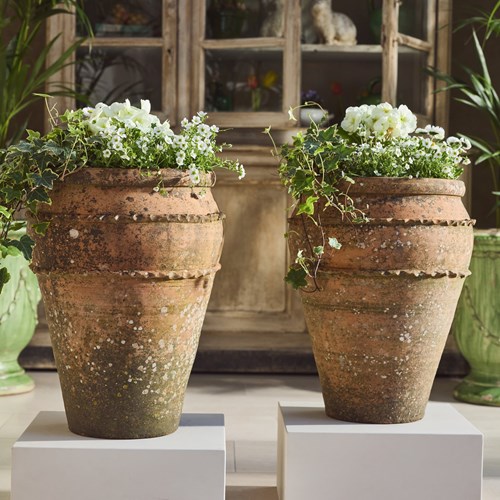 Pair Of Tall Terracotta Planters