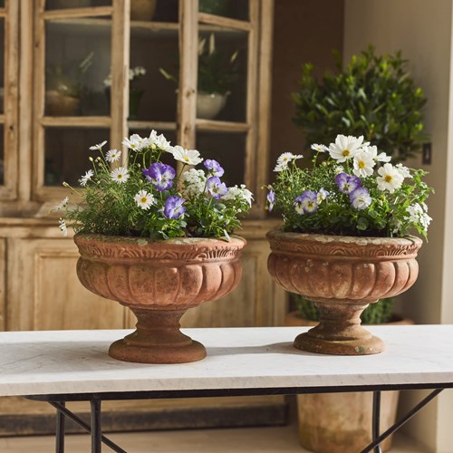 Small Pair Of Terracotta Pedestal Urns