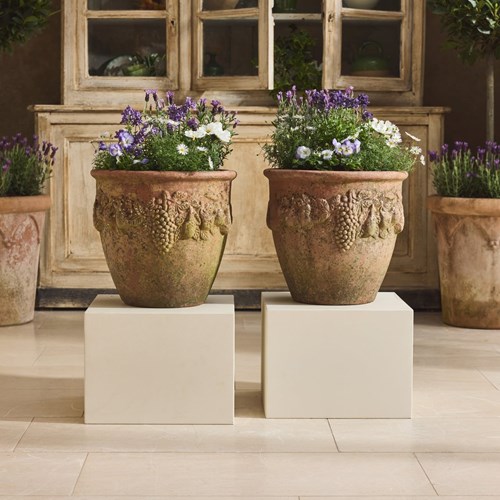 Terracotta Fruit Planters