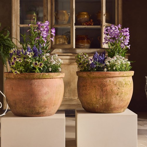 Terracotta Bowl Planters