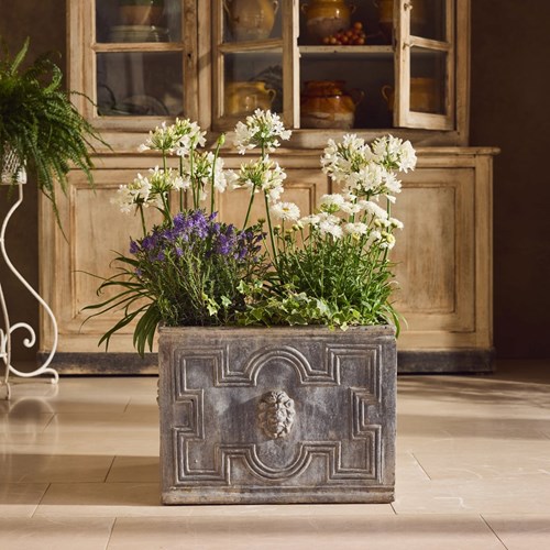 Italian Lead Planter