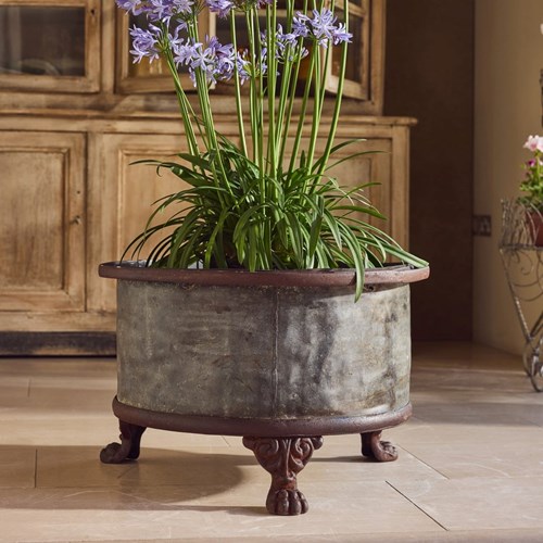Lions Paw Planter