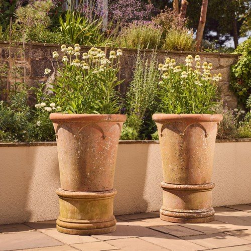 Large Italian Terracotta Planters