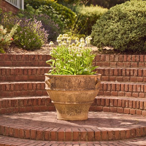 Italian Terracotta Planter