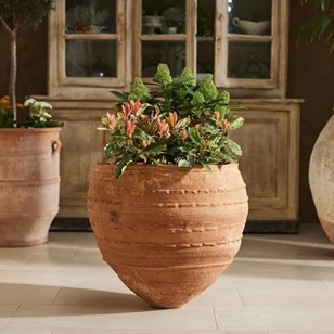 19Th Century Greek Pithoi