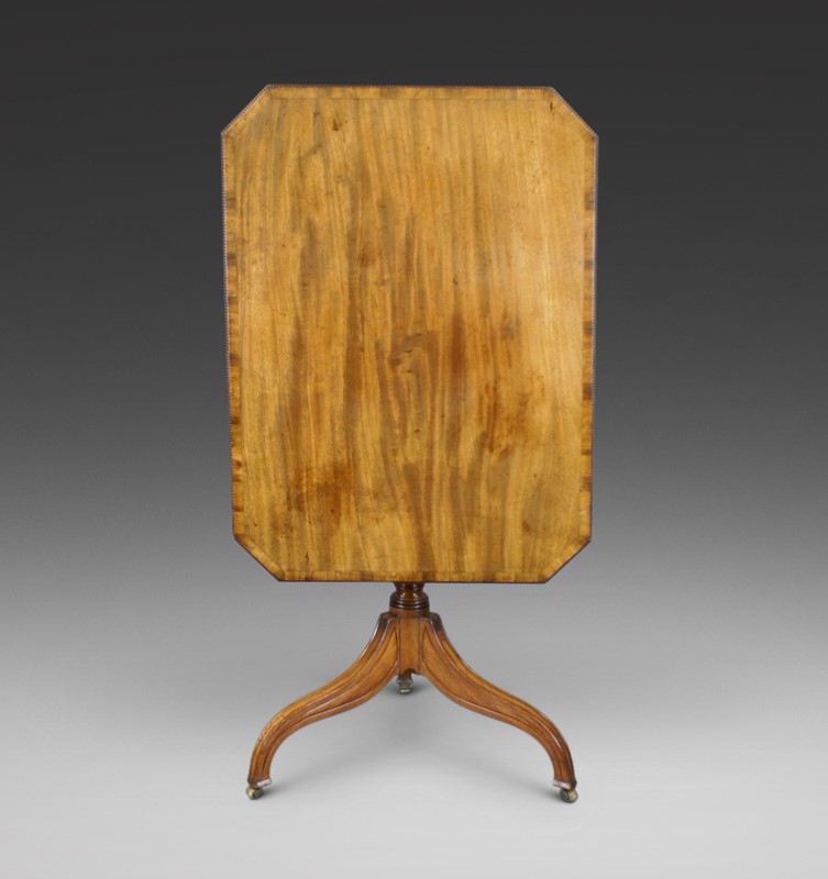A tripod table of fine colour & originality-w-j-gravener-antiques-c9rgfabo-main-637929620014728997.jpeg