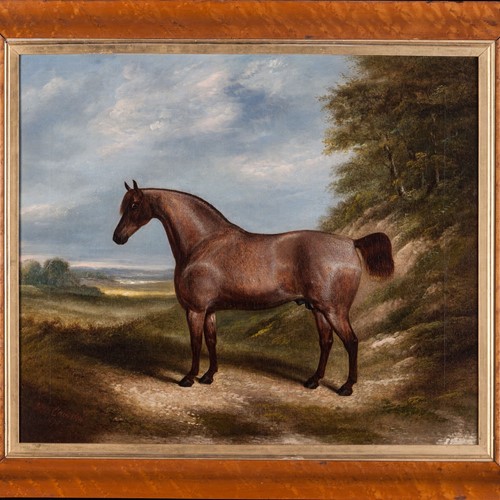 Horse In A Landscape By 'James Clark Sen. 1895.'