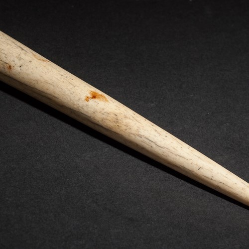 A Small Whalebone Fid