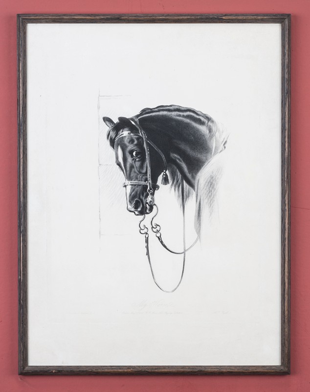  A Rare Print Of Copenhagen, 'My Horse'-walpoles-3287-main-636713287064815807.jpg