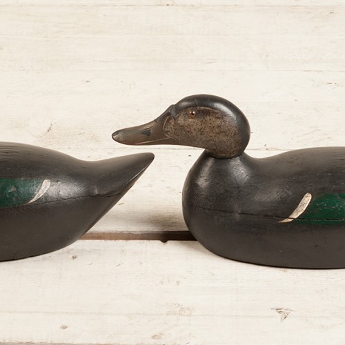 A Pair Of American Decoy Ducks