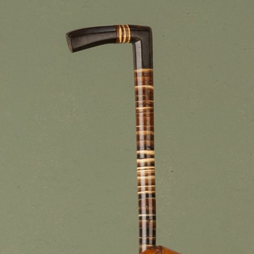 Horn Cane with a Crook Handle