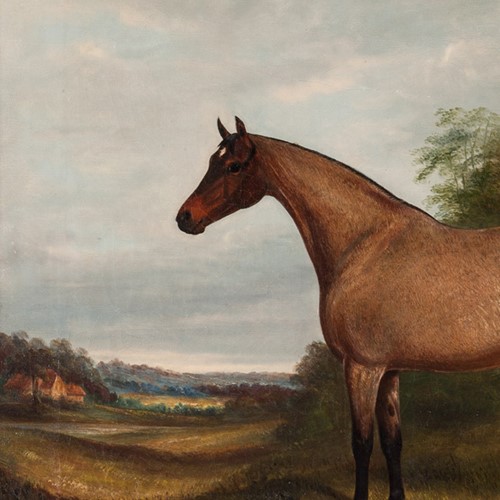  Roan Coated Horse In Fine Gilt Gesso Frame