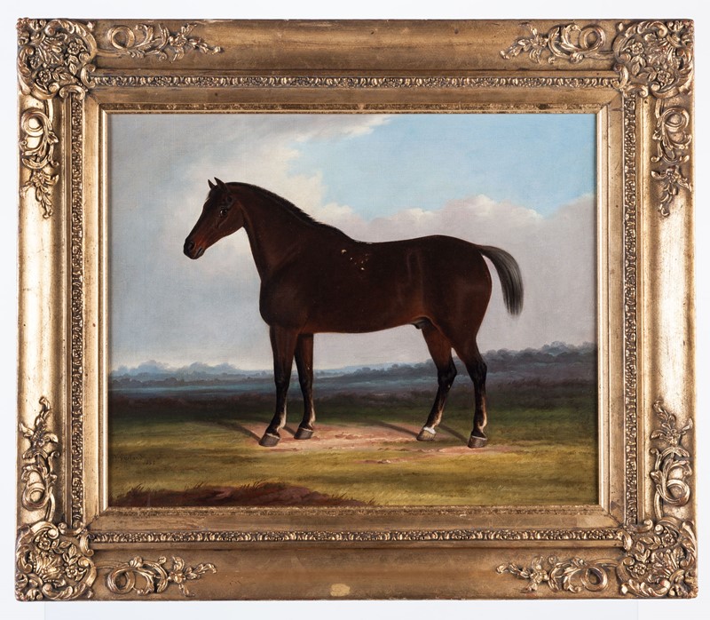 A Dark Bay Horse by William Garland of Winchester-walpoles-4164-main-637490946215140700.jpg